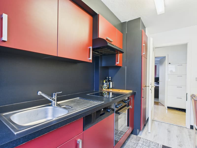 3½-Zimmerwohnung mit grossem Gartensitzplatz – Wohnen direkt an der Aare (3)