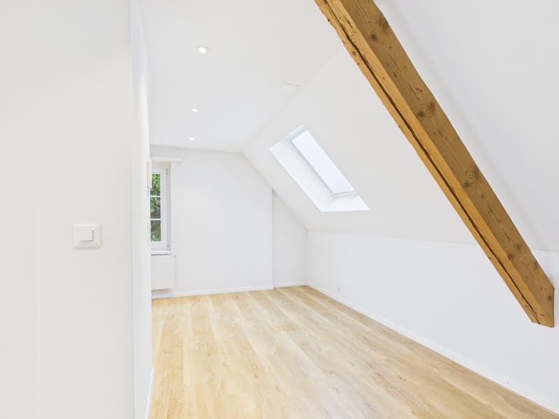 CHARMANTE 2.5-ZIMMER-DACHWOHNUNG MIT LOFTCHARAKTER (9)
