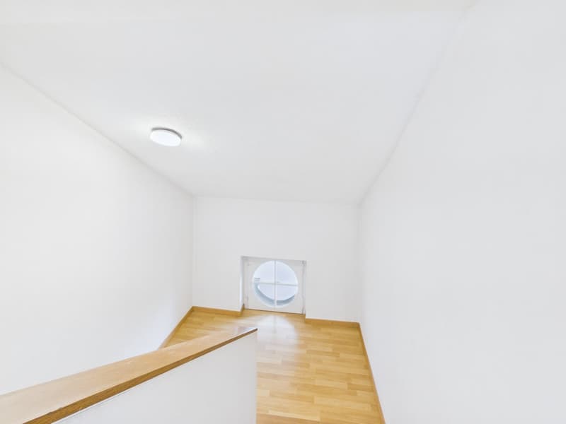 CHARMANTE 2.5-ZIMMER-DACHWOHNUNG MIT LOFTCHARAKTER (10)