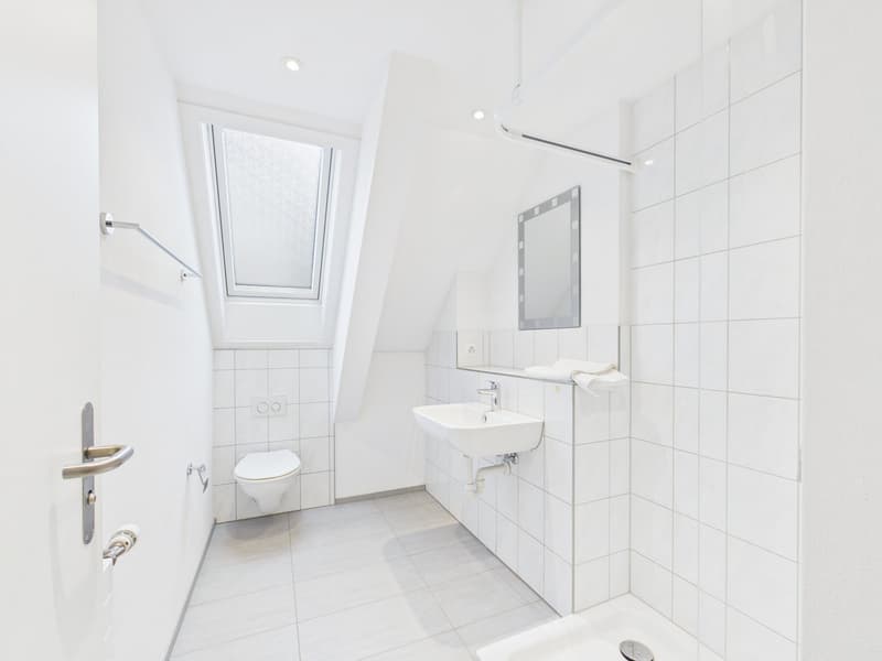 CHARMANTE 2.5-ZIMMER-DACHWOHNUNG MIT LOFTCHARAKTER (7)