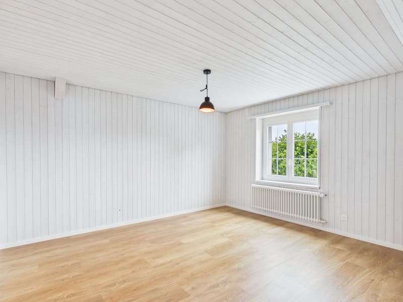 CHARMANTE 2.5-ZIMMER-DACHWOHNUNG MIT LOFTCHARAKTER (6)