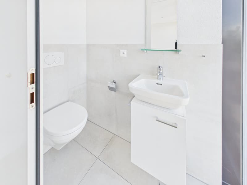 Appartamento maisonette esclusivo con accesso diretto tramite ascensore (5)