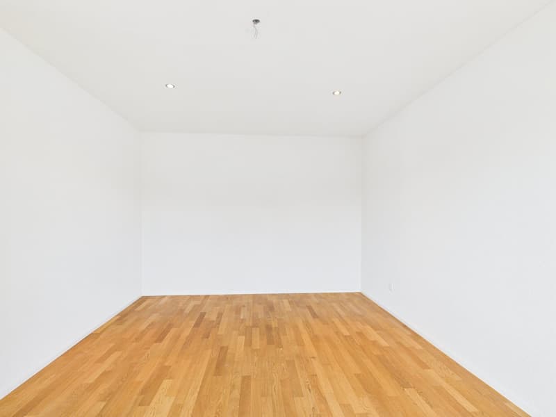 Appartamento maisonette esclusivo con accesso diretto tramite ascensore (22)