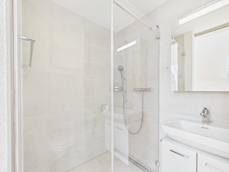 Appartamento maisonette esclusivo con accesso diretto tramite ascensore (19)