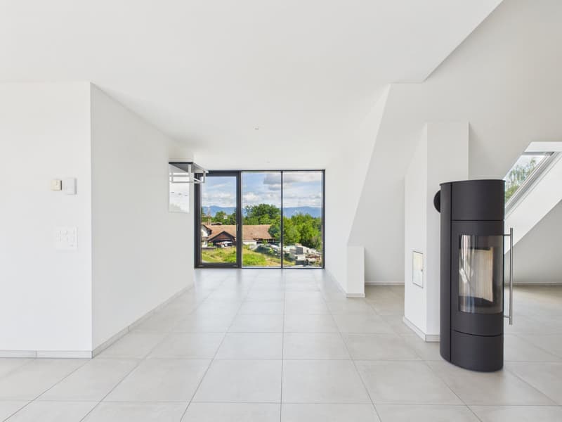 Appartamento maisonette esclusivo con accesso diretto tramite ascensore (2)
