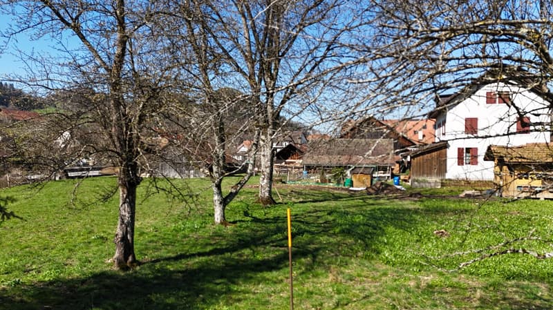 Parcelle de terrain à bâtir spacieuse dans un endroit calme – 831 m² à Erschwil (4)