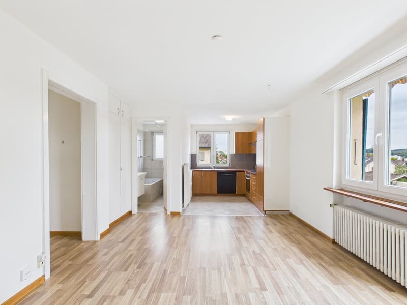 Charmante 4.5-Zimmer-Wohnung mit Balkon in Solothurn (1)