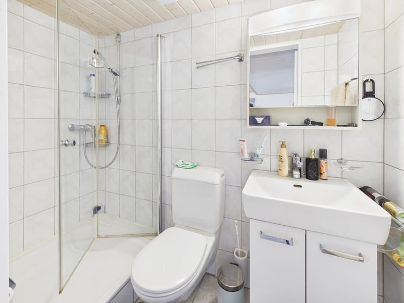 Gemütliche 3.5-Zimmer-Wohnung mit Terrasse in Grenchen (3)