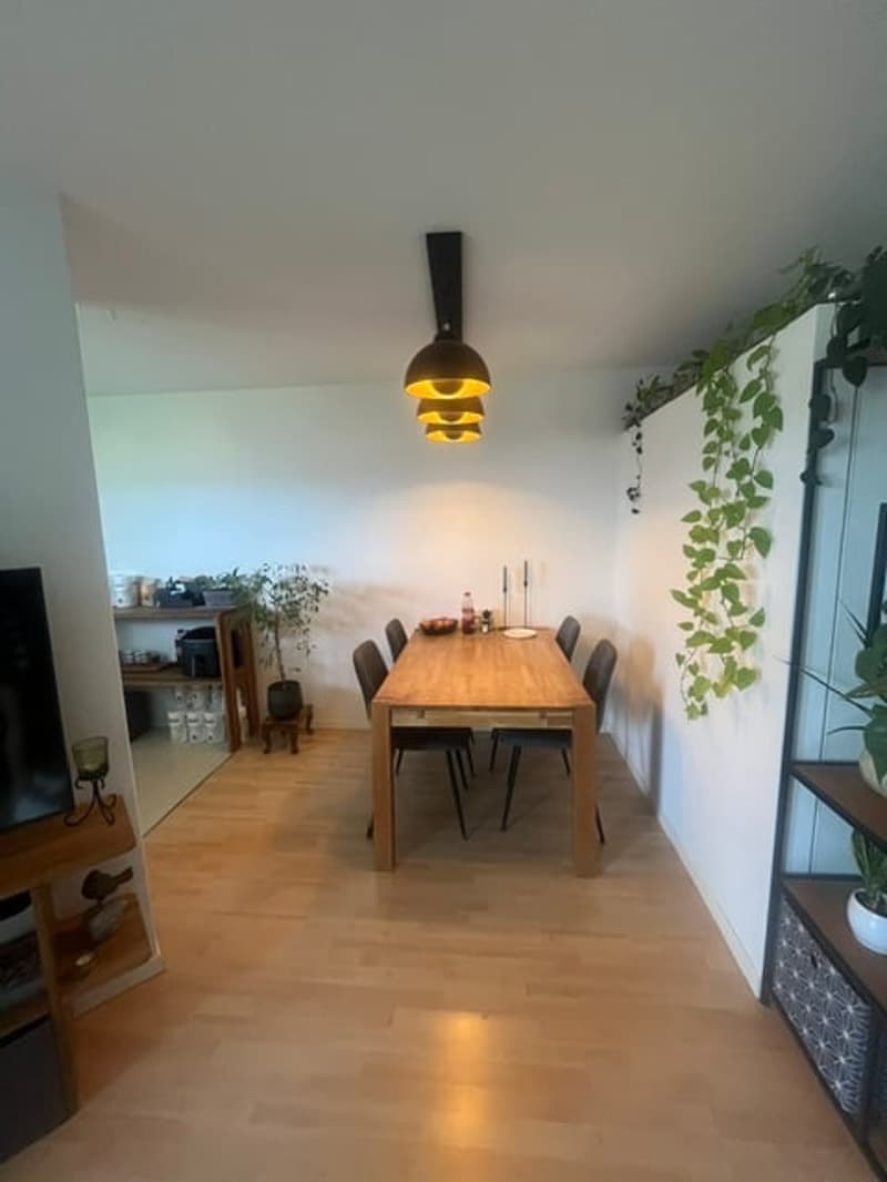 Charmante 2.5-Zimmer-Wohnung im autofreien Quartier – ruhig gelegen und bestens angebunden (7)