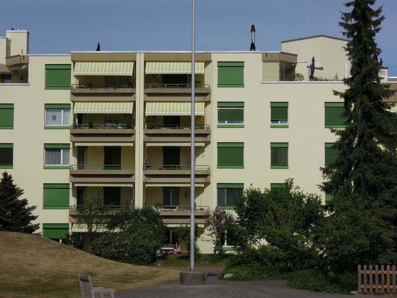 Charmante 2.5-Zimmer-Wohnung im autofreien Quartier – ruhig gelegen und bestens angebunden (11)