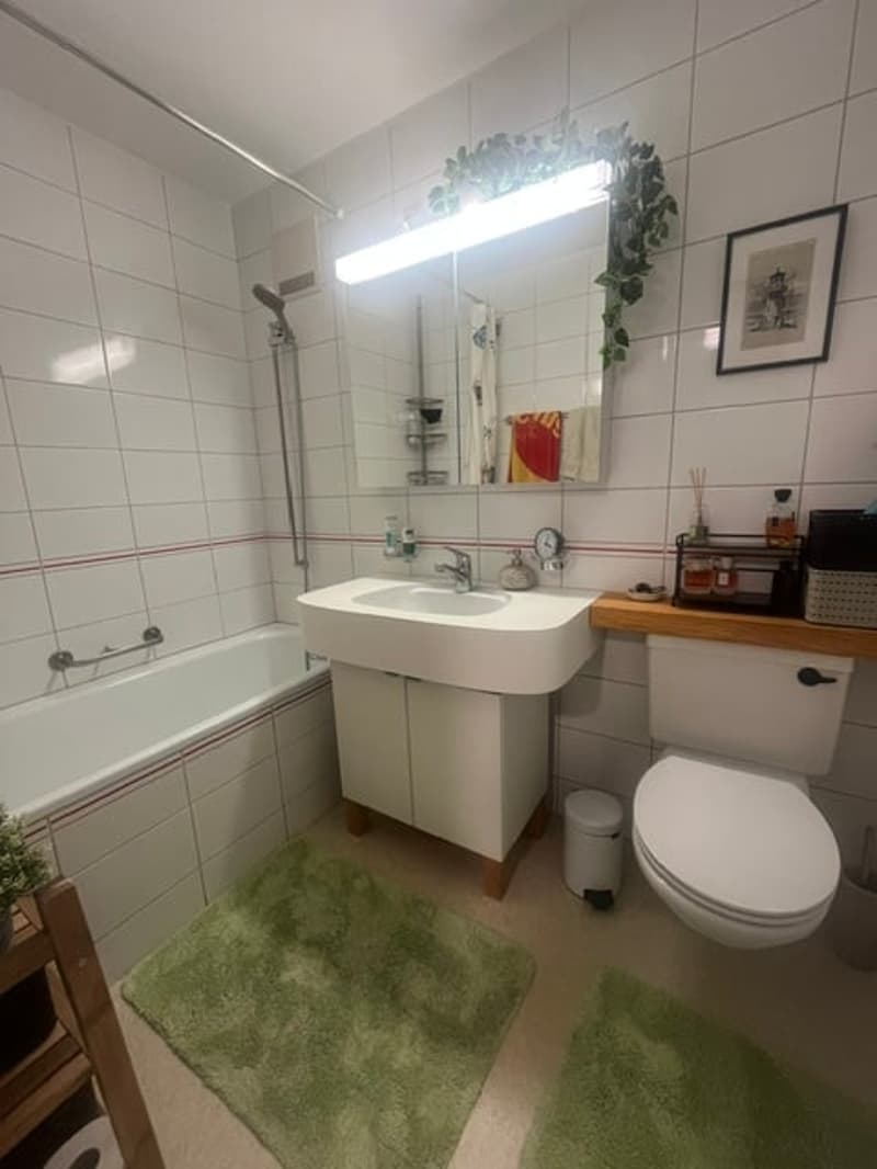 Charmante 2.5-Zimmer-Wohnung im autofreien Quartier – ruhig gelegen und bestens angebunden (4)