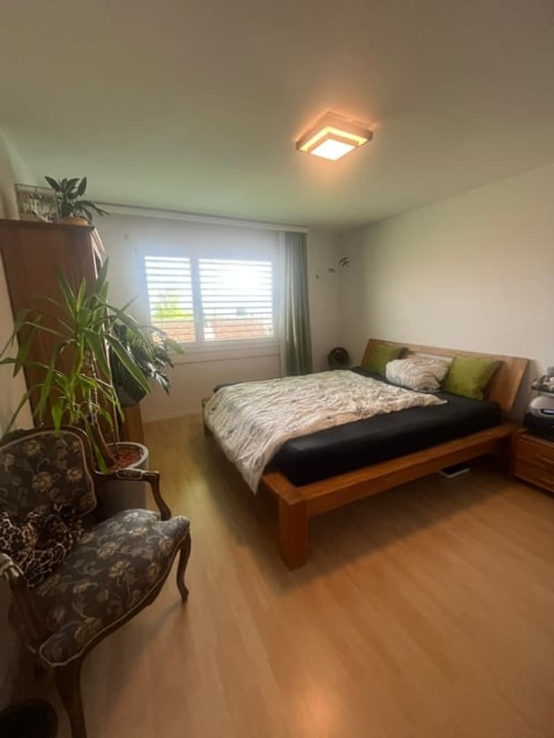 Charmante 2.5-Zimmer-Wohnung im autofreien Quartier – ruhig gelegen und bestens angebunden (8)