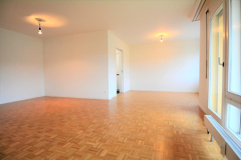 Grosszügige 5½-Zimmerwohnung mit sonnigem Balkon in Solothurn (2)