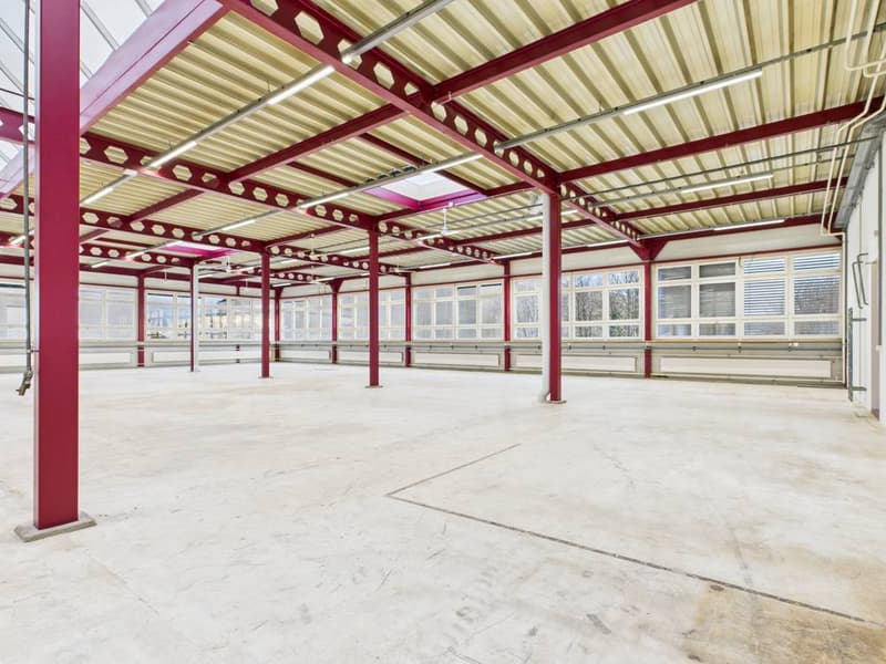 Produktions- und Gewerbefläche mit Büroanteil in Industriezone I (3)
