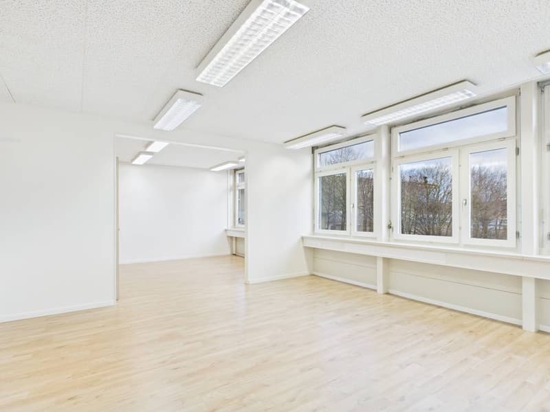 Produktions- und Gewerbefläche mit Büroanteil in Industriezone I (8)