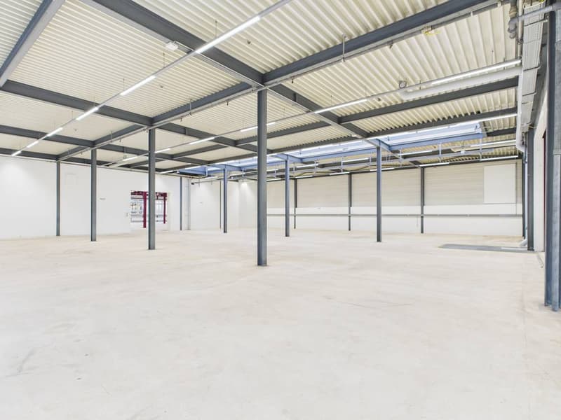 Produktions- und Gewerbefläche mit Büroanteil in Industriezone I (4)