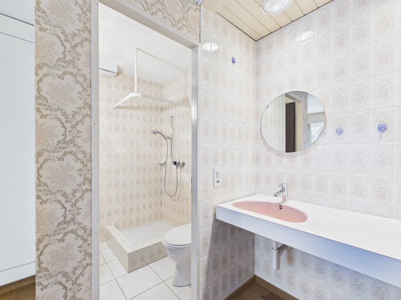 Exklusives 7.5-Zimmer-Einfamilienhaus mit Pool, Wintergarten und viel Privatsphäre in Arch BE (17)