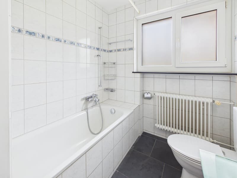 Charmantes 4½-Zimmer-Einfamilienhaus mit Garten in Killwangen (17)
