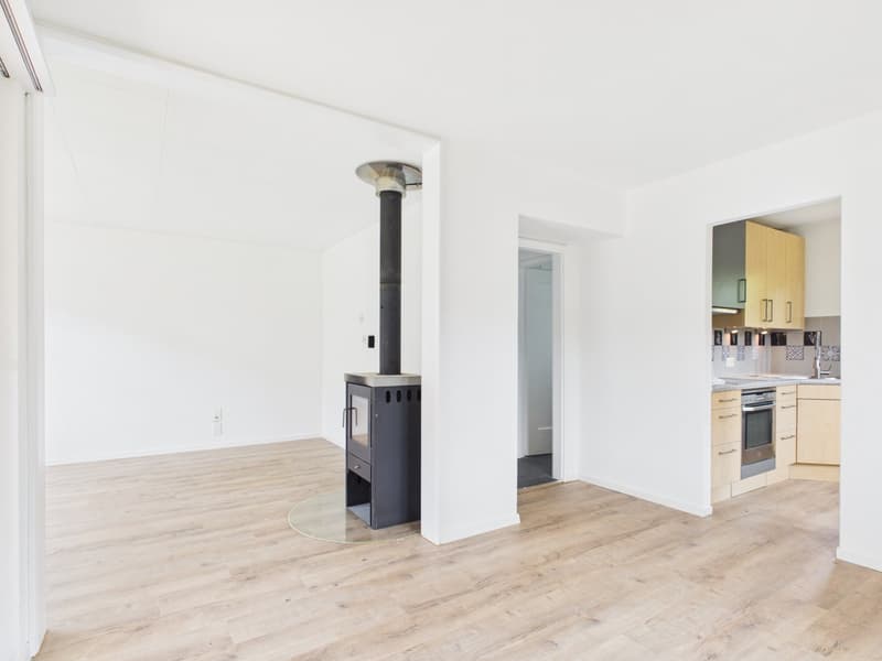 Charmantes 4½-Zimmer-Einfamilienhaus mit Garten in Killwangen (4)
