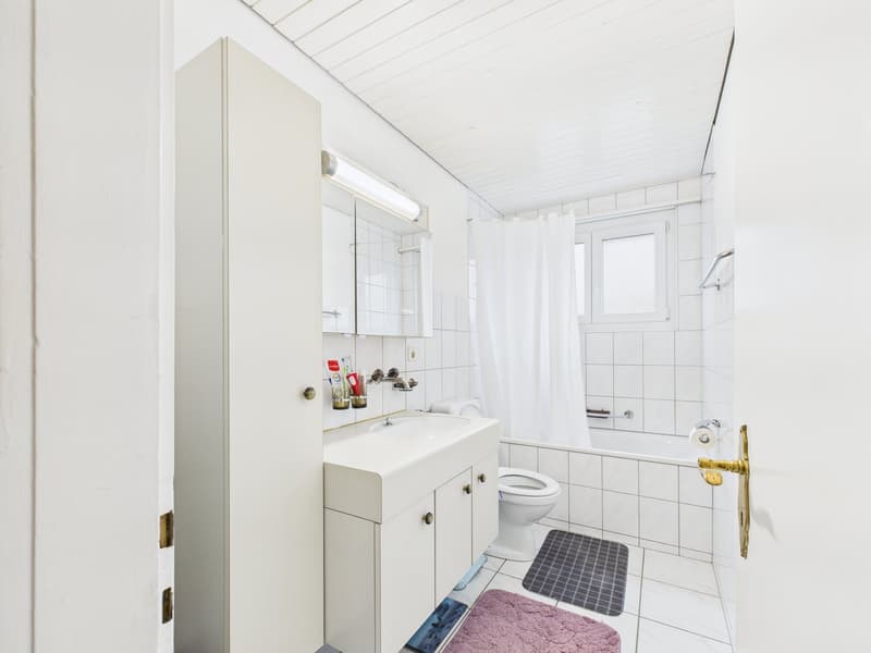 3½-Zimmerwohnung mit grossem Gartensitzplatz – Wohnen direkt an der Aare (5)