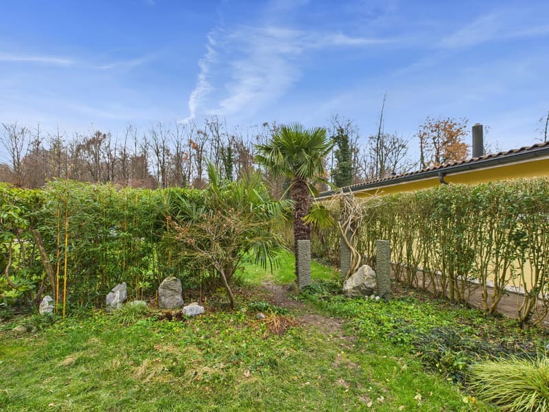 3½-Zimmerwohnung mit grossem Gartensitzplatz – Wohnen direkt an der Aare (1)
