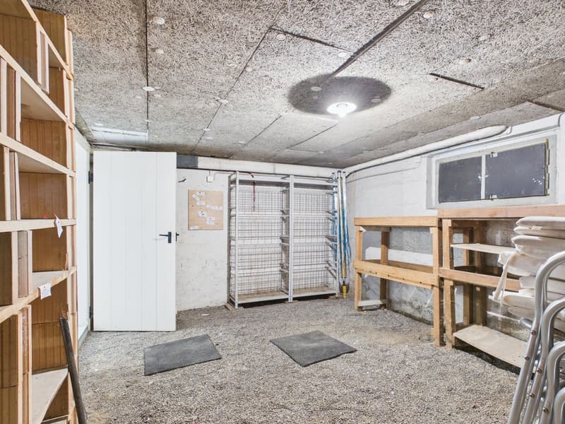 Charmantes Einfamilienhaus mit Garten und Sauna in Solothurn (12)