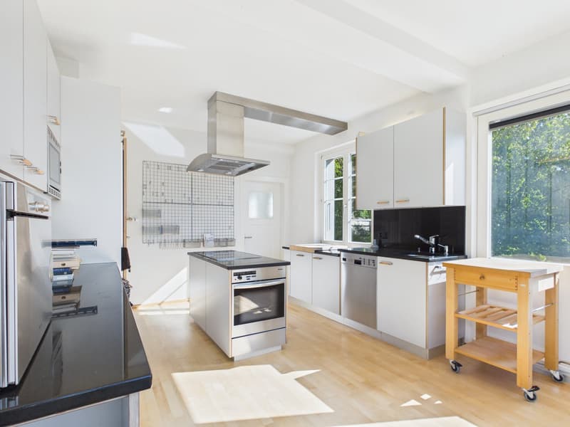 Charmantes Einfamilienhaus mit Garten und Sauna in Solothurn (6)