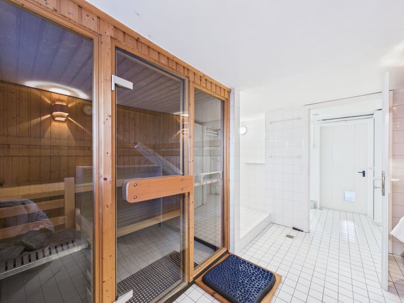Charmantes Einfamilienhaus mit Garten und Sauna in Solothurn (11)