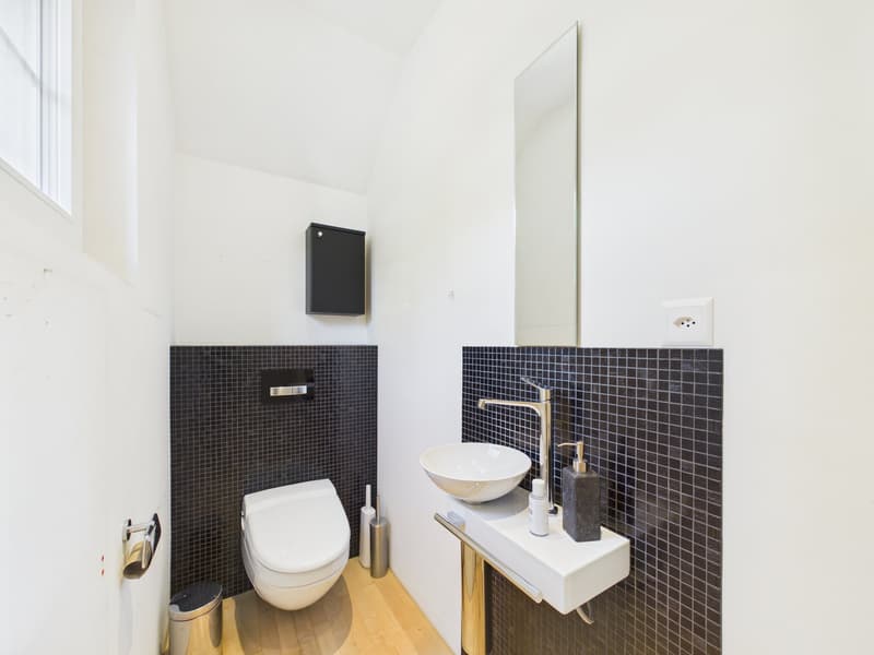 Charmantes Einfamilienhaus mit Garten und Sauna in Solothurn (5)