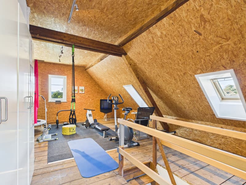 Charmantes Einfamilienhaus mit Garten und Sauna in Solothurn (14)