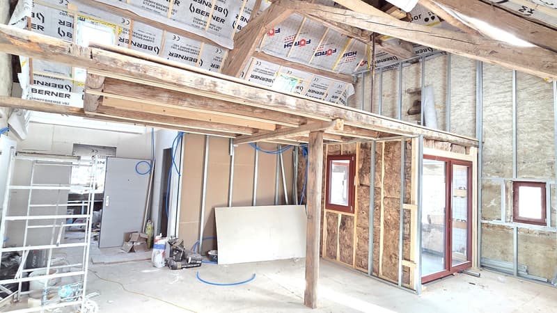 Superb 2.5-room loft apartment (Unit 8) (3)