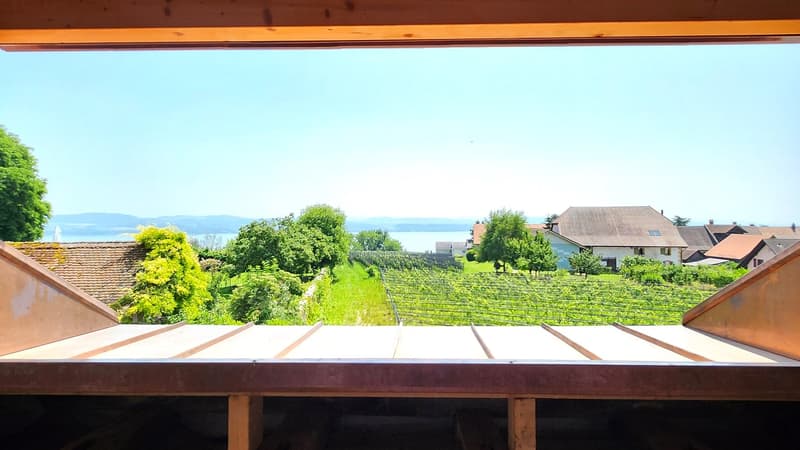 Splendid 3.5-room duplex apartment with lake view (Lot 6) (1)