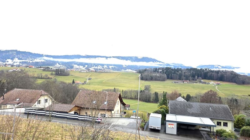 3 buildings with tiled roofs, green pasture in the background, a road running in between the buildings