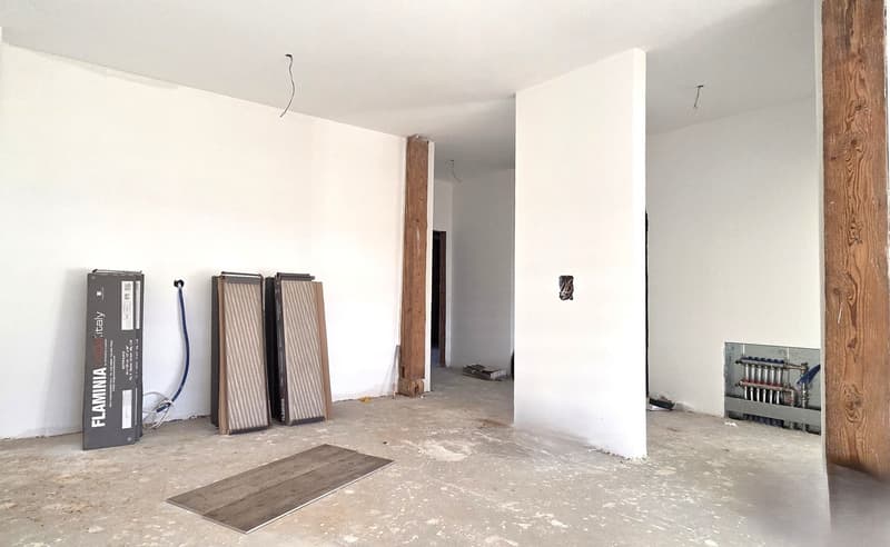 Bel appartement de 3,5 pièces (Lot 4) (6)