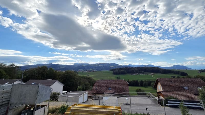 Superbe villa jumelle de 5,5 pièces (219b) et (219a) (3)