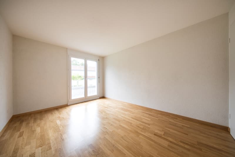Zimmer1