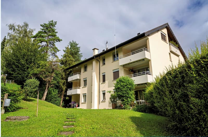 025_Säspelstrasse 9, 4208 Nunningen_kunzmedia.ch_v2-min