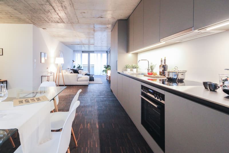 Basel-RhySide-3.5Zimmer (3)