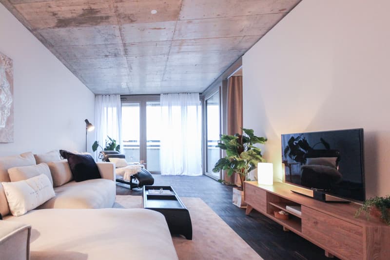 Basel-RhySide-3.5Zimmer (6)