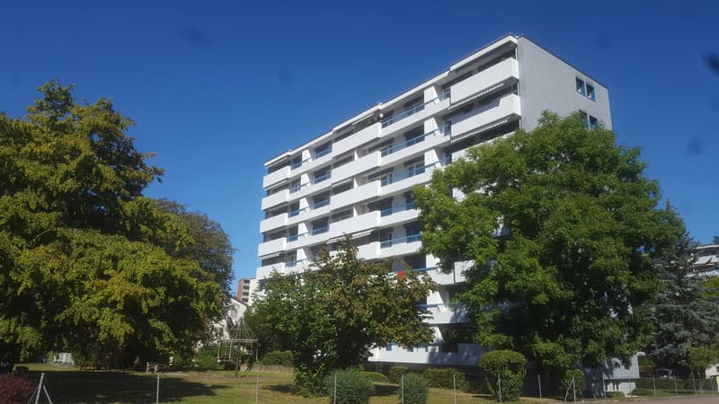 Fassade gartenseitig