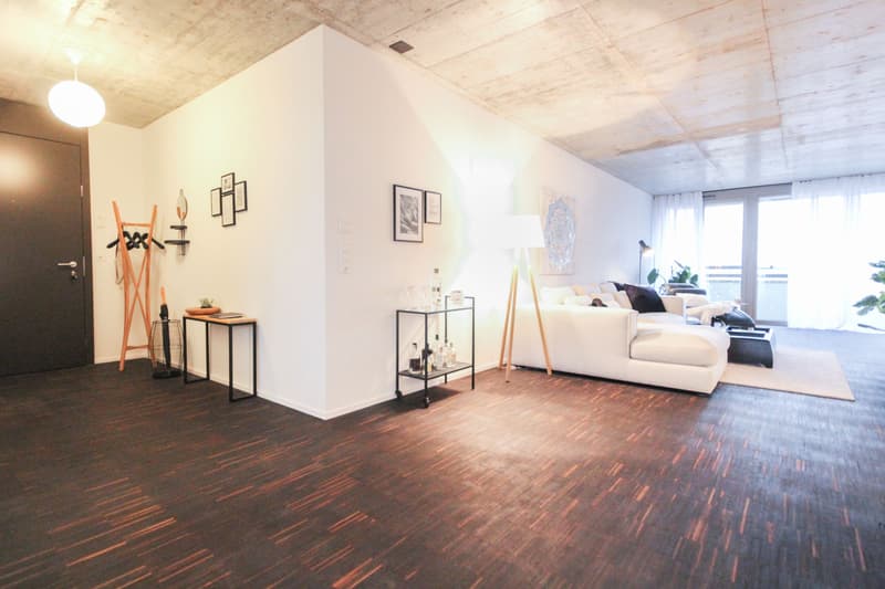 Basel-RhySide-3.5Zimmer (1)