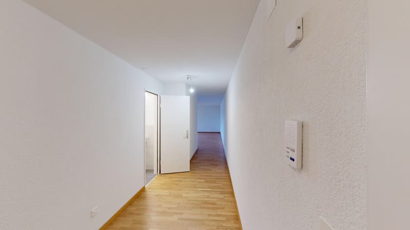 35-ZW-Parkstrasse-4a-9430-St-Margrethen-23263131-03022026_115748