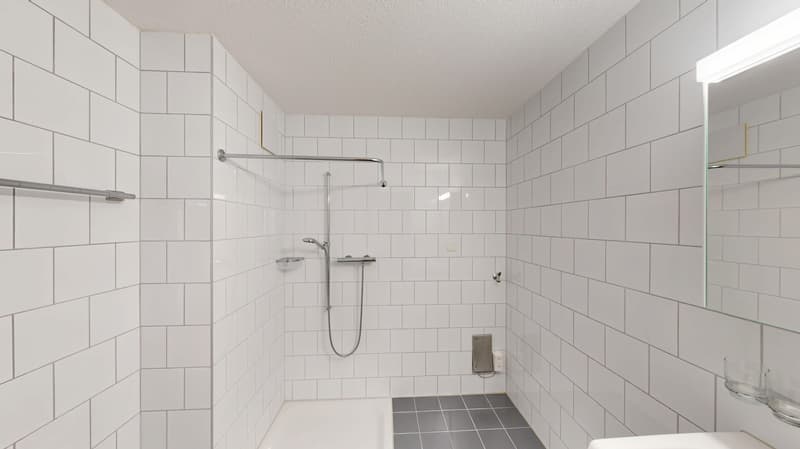 25-ZW-Hauptstrasse-17ab-9436-Balgach-23412121-05042026_095156