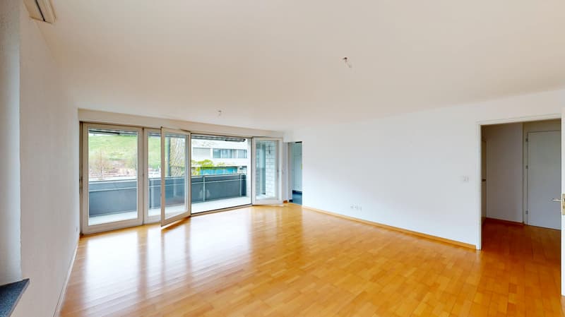 25-ZW-Hauptstrasse-17ab-9436-Balgach-23412121-05042026_095737
