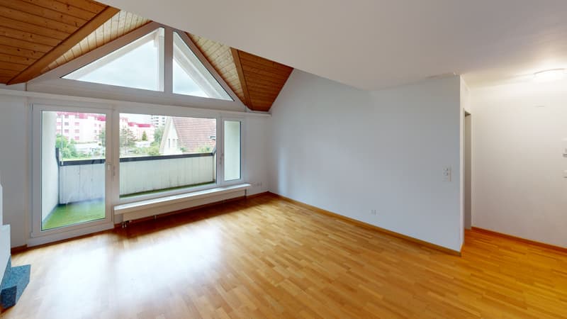 Living-Room (1)