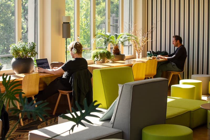 large windows, wooden desk, wooden stools, green couch, wooden floor, plants
