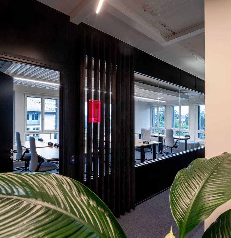 Zürichs luxuriösestes Co-Working: Büros für 2 bis 20 Personen verfügbar (3)