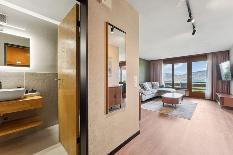 Aeschi Park Business Apartments - Spiez - Einheit 307 (9)