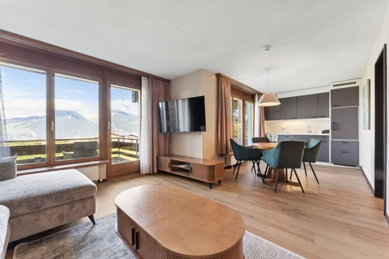 Aeschi Park Business Apartments - Spiez - Einheit 307 (8)
