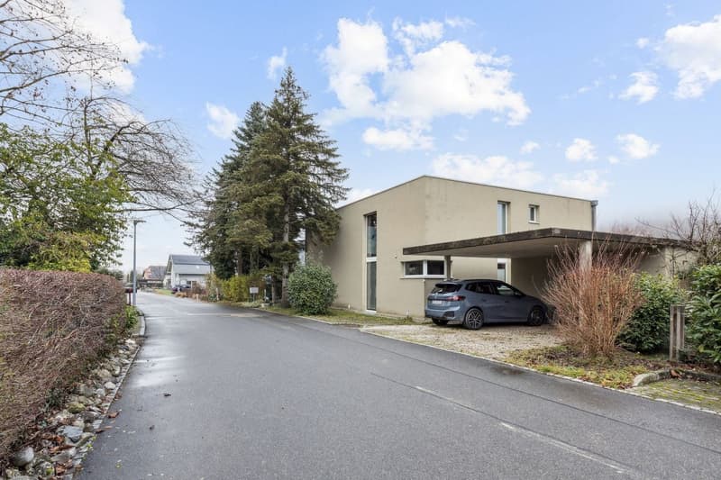 Belle maison individuelle avec grand jardin et jacuzzi (1)